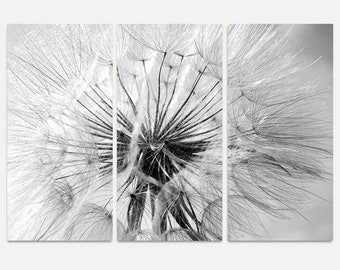 Black and White Canvas Print, Dandelion Flower Wall Art, Floral Wall Decor ready to hang Split canvas 3 and 5 pieces wall painting