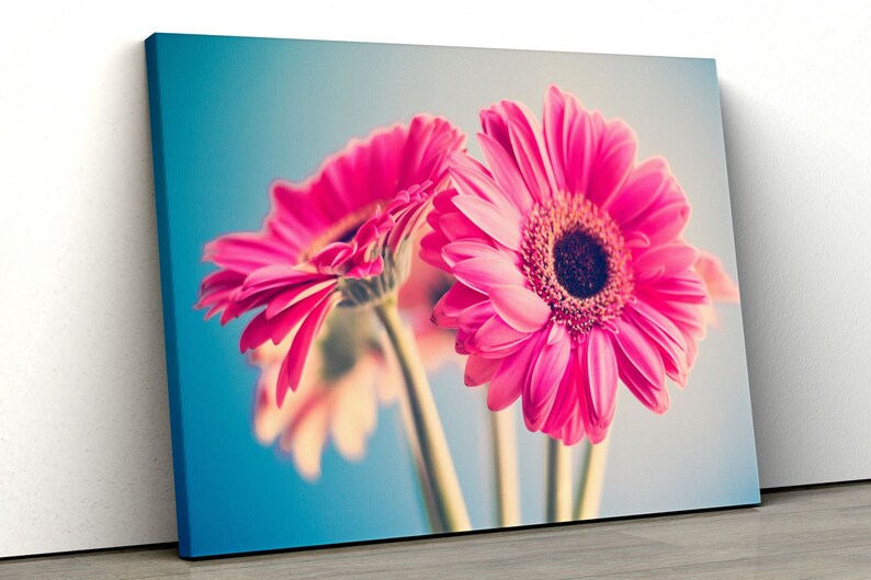 Pink Gerbera Daisy Canvas Wall Art Framed Fl - Gerbera Daisy Canvas Wall Art Pink Gerbera Daisy Canvas Wall Art Framed Fl - Gerbera Daisy Canvas Wall Art