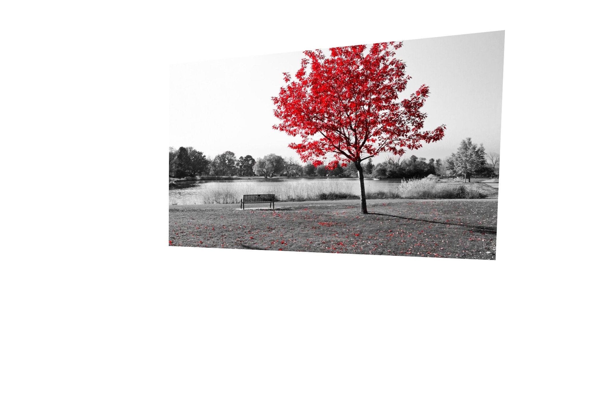 Black and White Red Tree Wall Art Red Tree Canvas Print Etsy