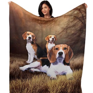 Beagle Blanket Etsy