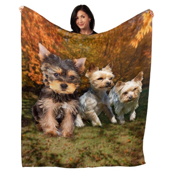Yorkie blanket hotsell