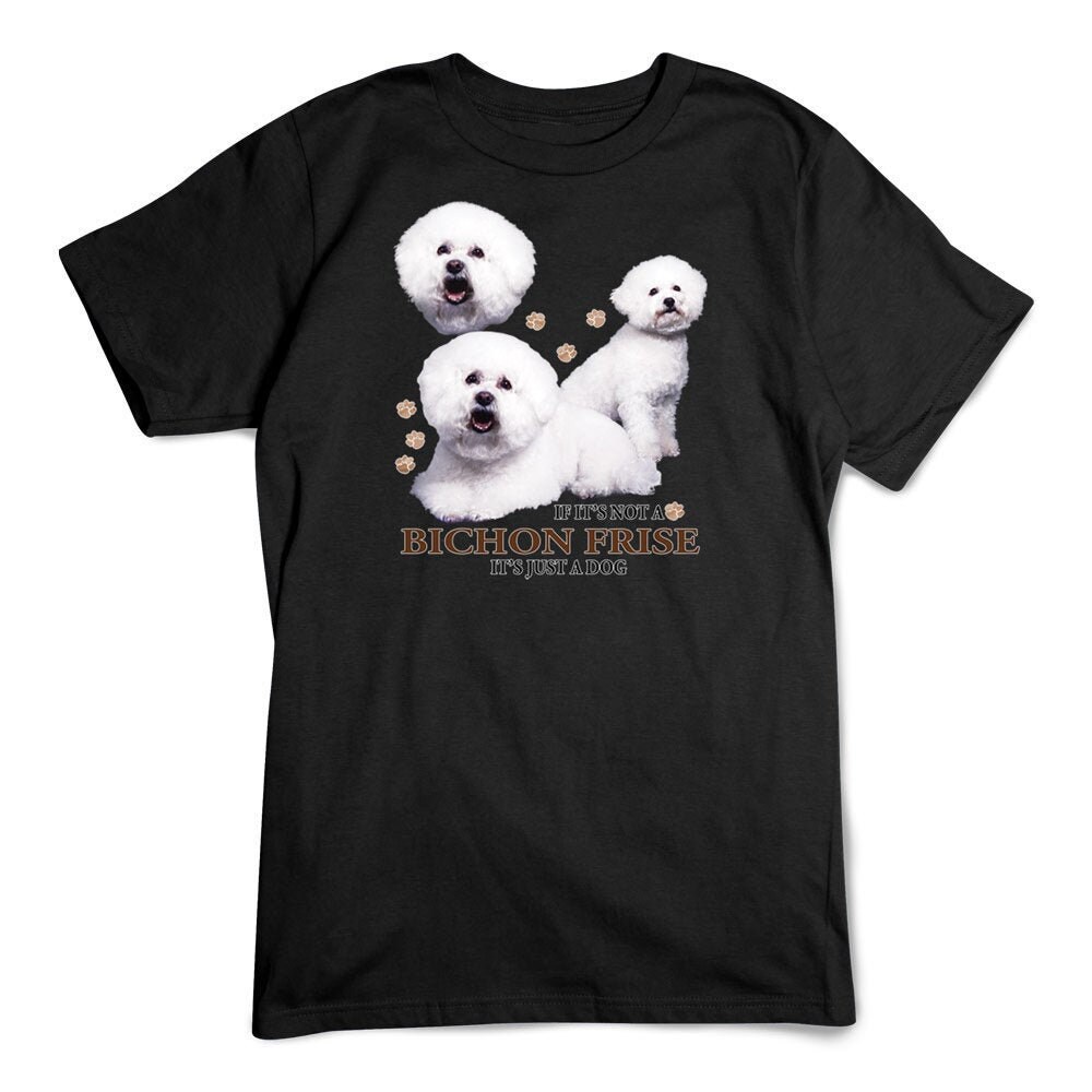 Bichons hotsell in not