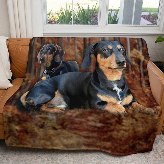 Sausage dog online blanket