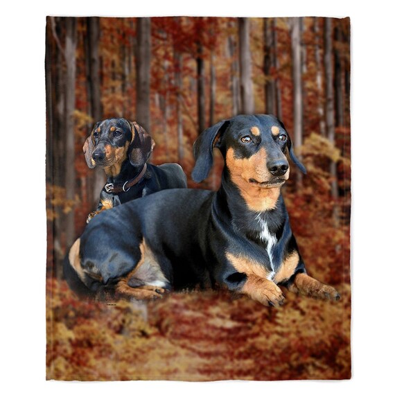 Dachshund Blanket Dog Breed 50 X 60 Decorative Throw Fleece Pet Pets Dogs Breeds Wall Hanging Home Decor Fabric Poster Wall Art Etsy