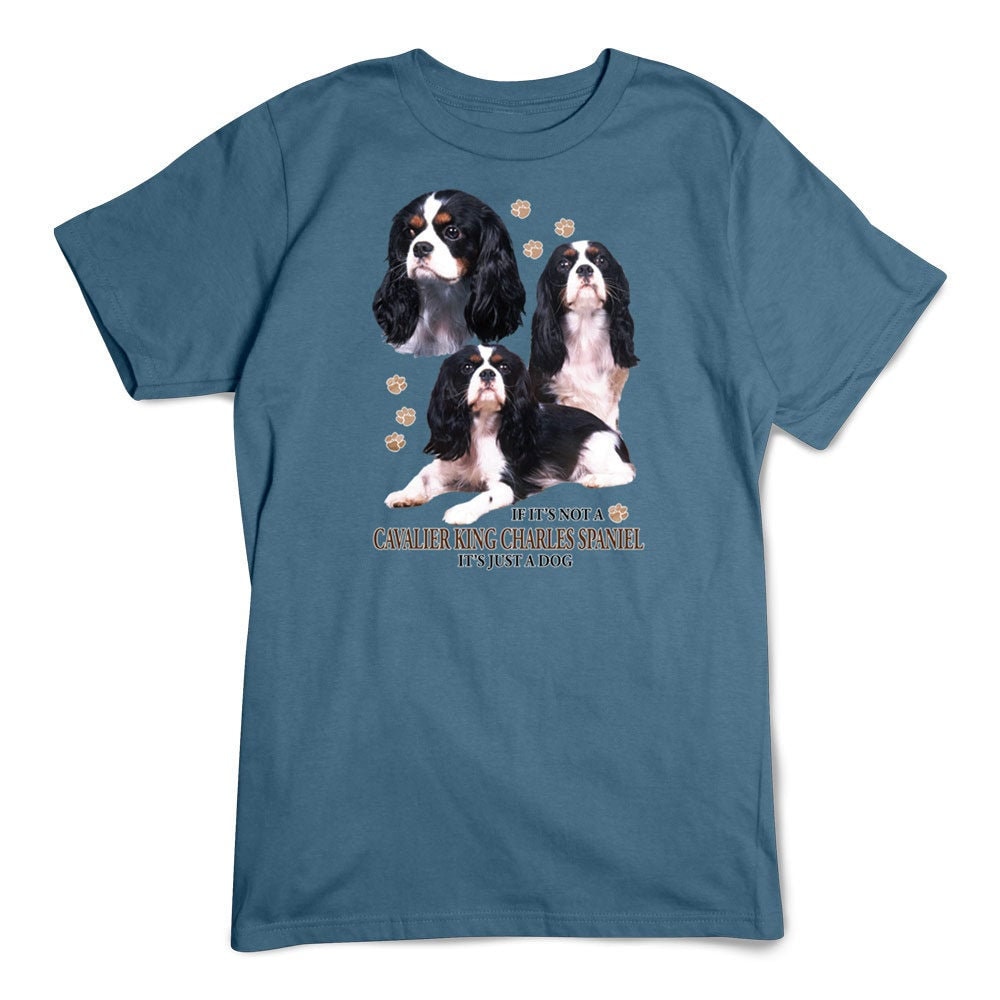 Cavalier King Charles Spaniel Paris France T-Shirt