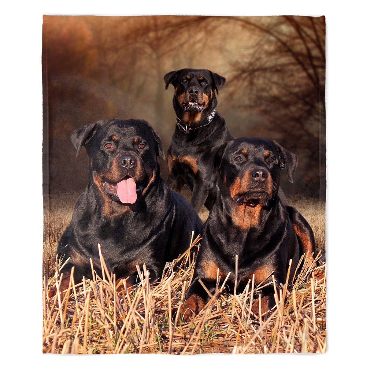 Rottweiler Blanket Dog Breed 50 X 60 Decorative Throw Fleece Pets Dogs Breeds Wall Hanging Home Decor Fabric Poster Wall Art Etsy Canada