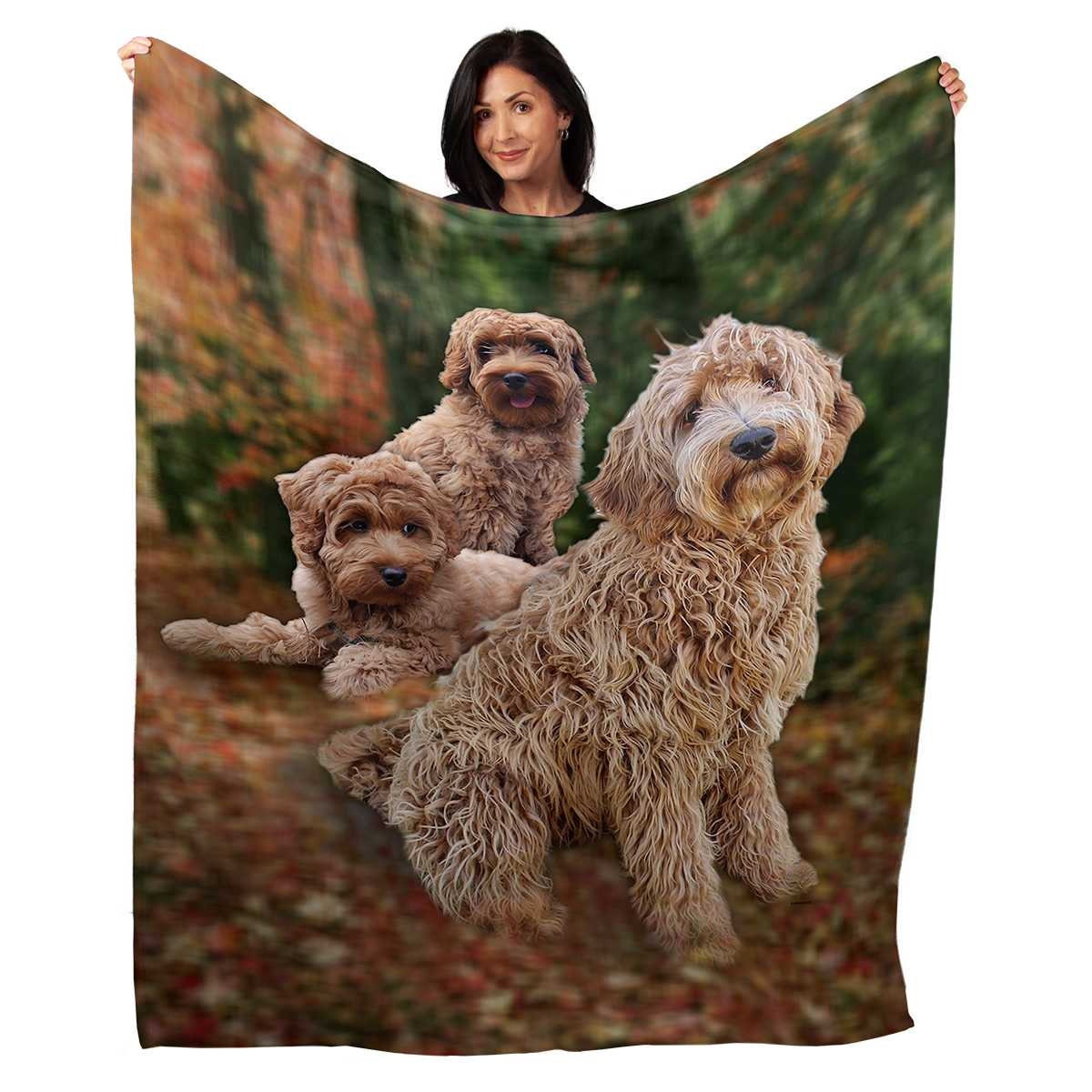 Labradoodle Blanket Dog Breed 50 X 60 Decorative - Etsy UK