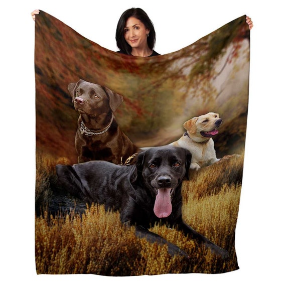 Do Labradors Need Blankets