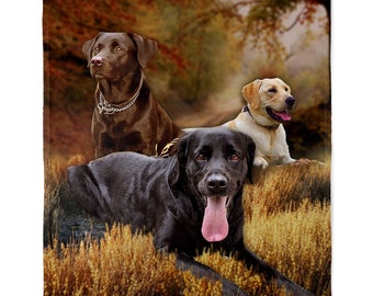 Black lab blanket outlet