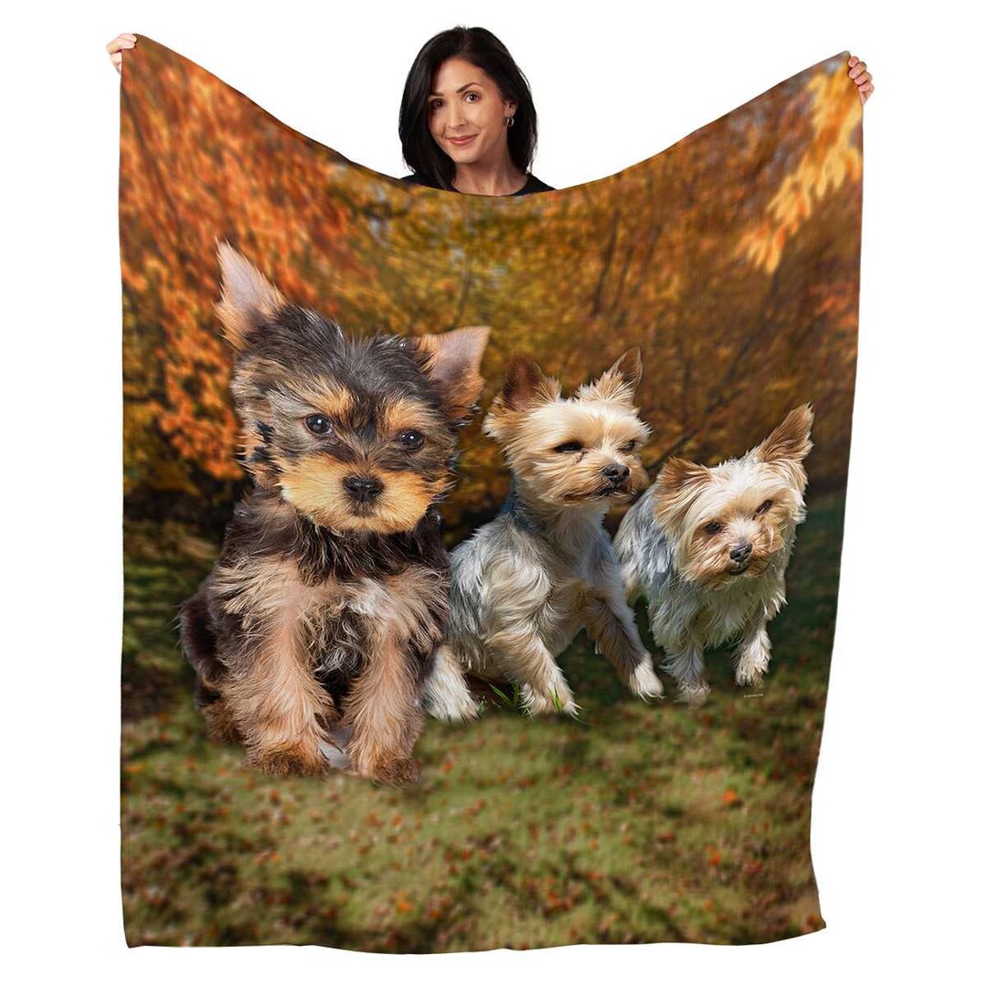 Yorkie Blanket, Dog Breed 50 X 60 Yorkies Decorative Throw, Fleece