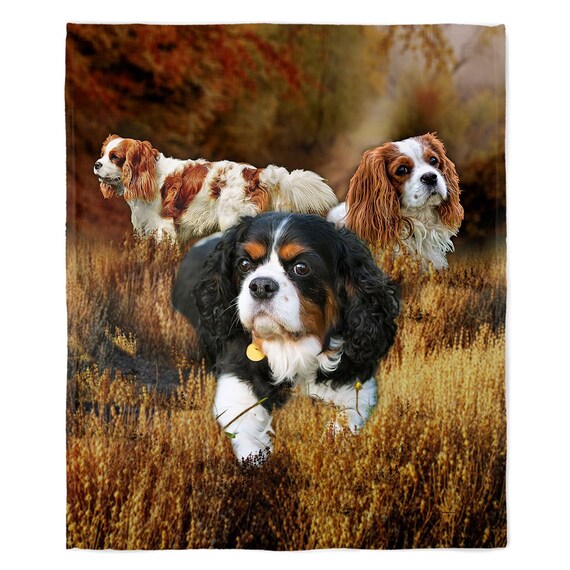 Cavalier king charles blanket hot sale