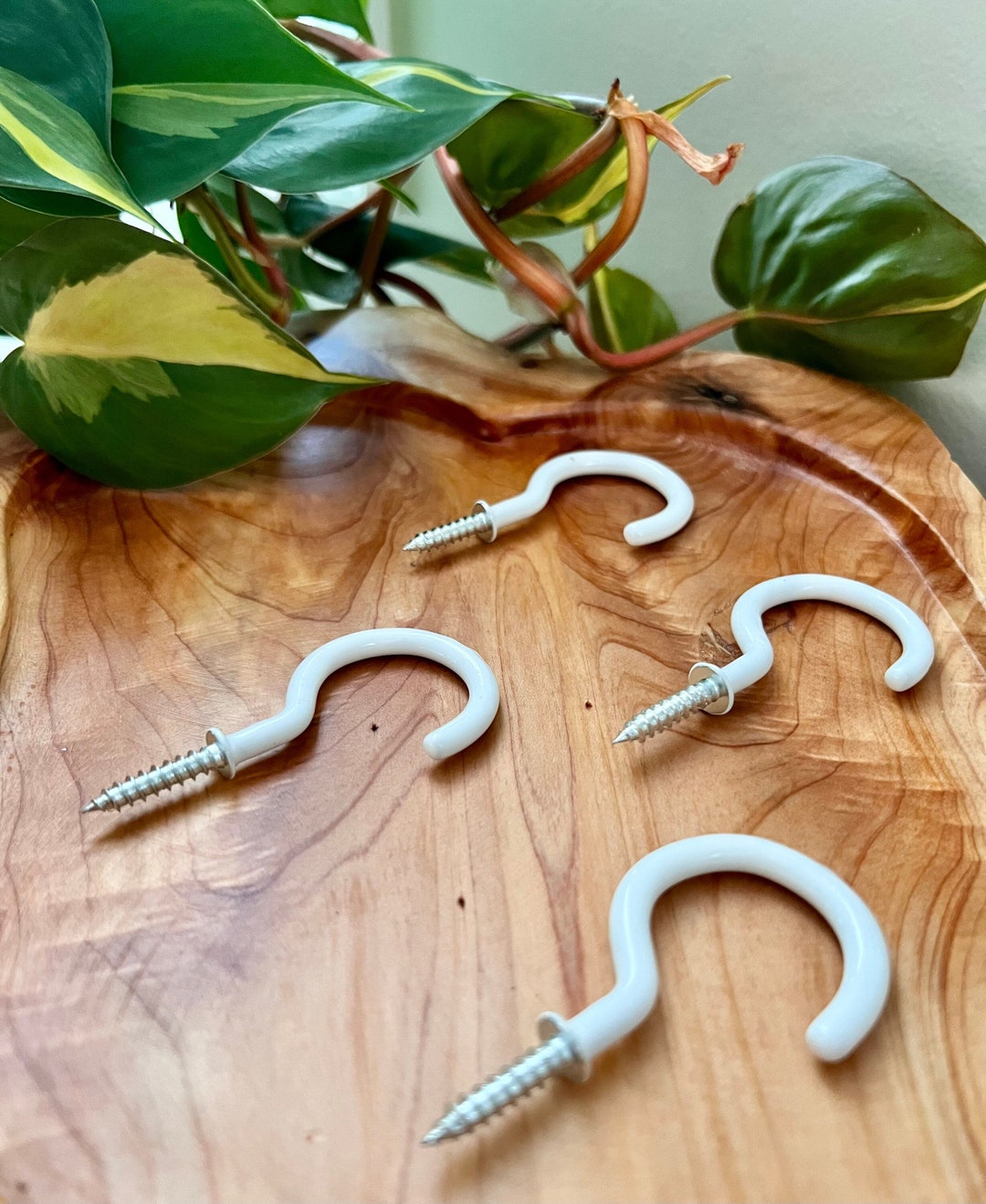 Set of 4 Stainless Steel C Hooks for Hanging Macramé Plants Etsy