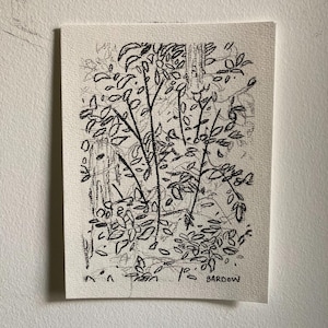 Commissioned foliage drawing