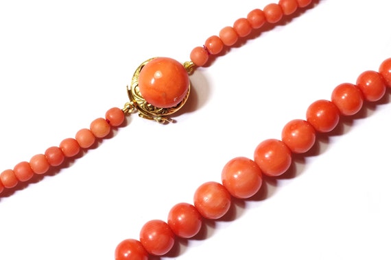 Vintage Red Branch Coral Necklace Ca 1950s - Etsy India