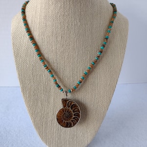 Ammonite Brown Shell Turquoise Necklace