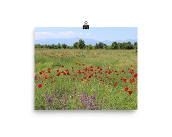 Albanian Wild Flowers Photo Paper Poster