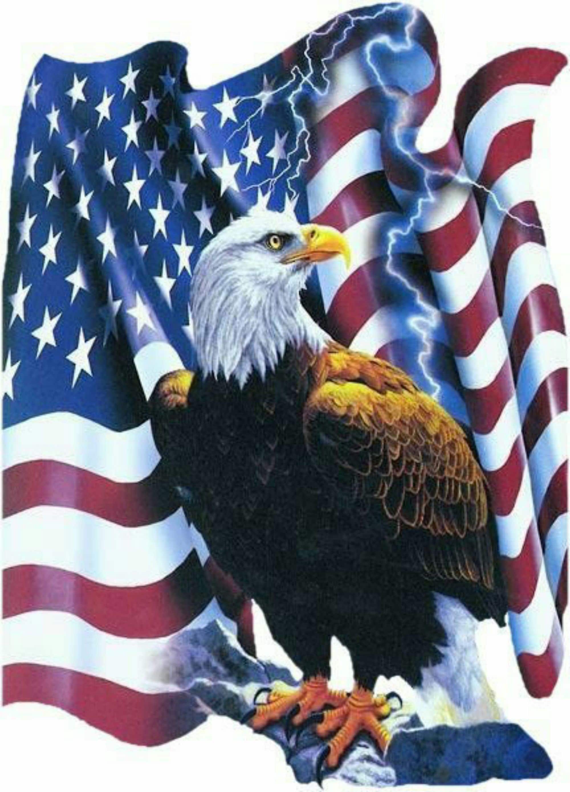 Vintage Eagle Clipart Eagles Svg Patriotic Svg Eagle Svg American Flag ...