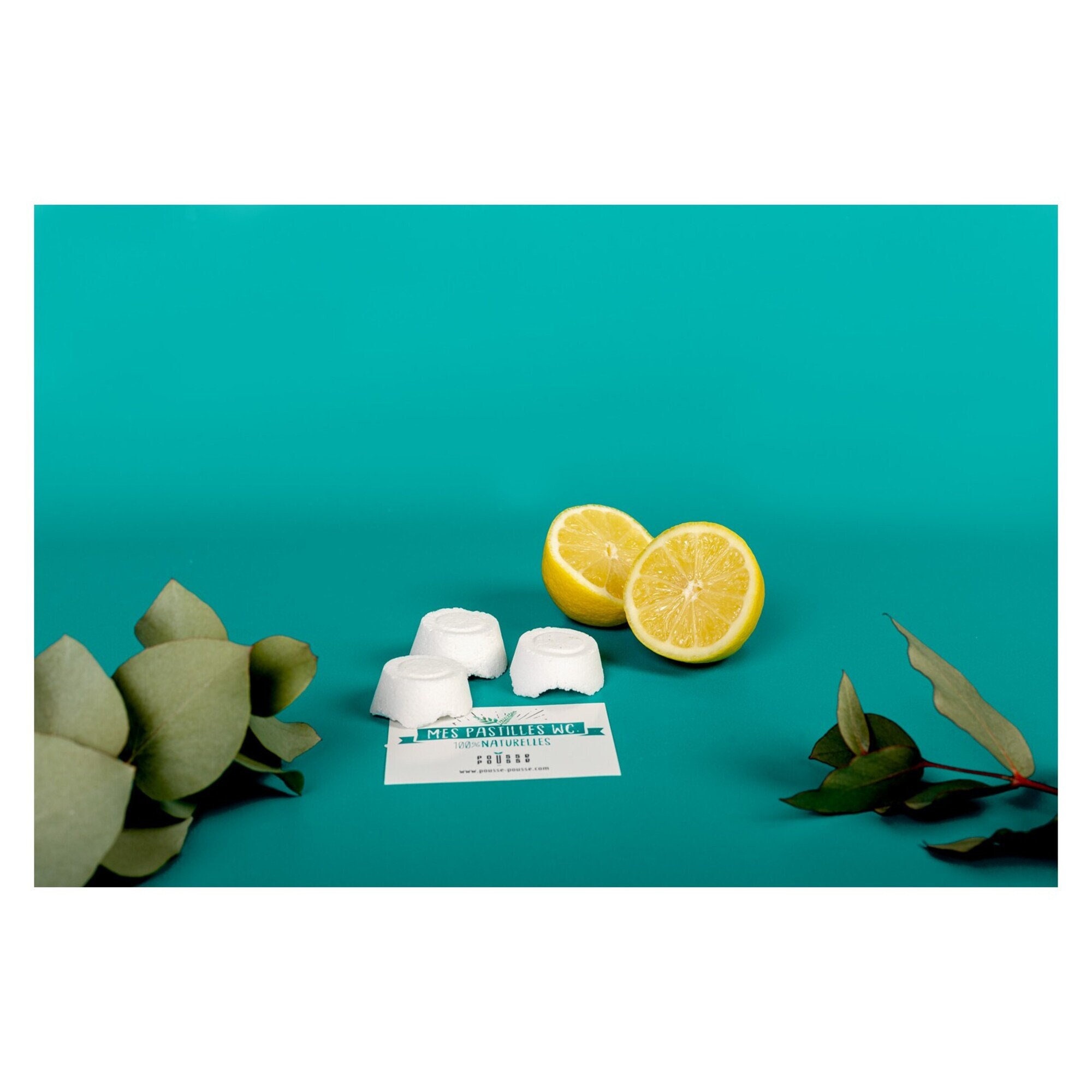 Kit Je Fabrique Mes Pastilles Wc