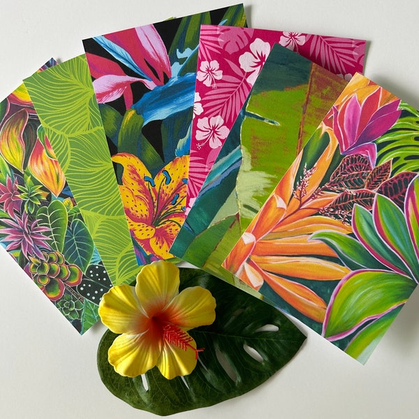 Hawaii Botanical Notecards, Hawaii Plant Card Set, Tropical Card Set, Coral Green Card Set, Fine Art Cards, Hawaii Tropical Art Cards, Ferns