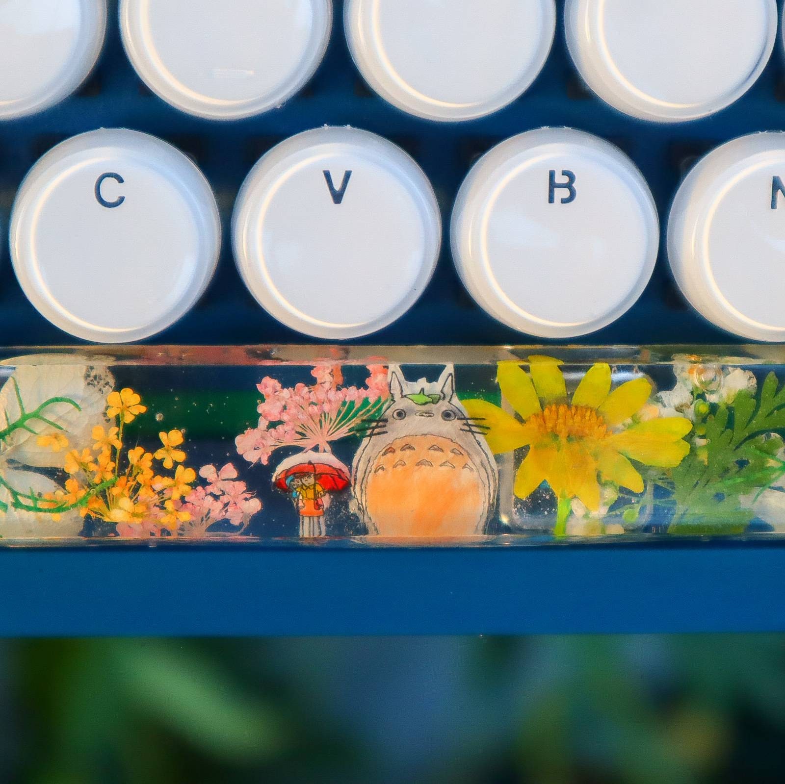 My Neighbor Totoro Spacebar Keycap Studio Ghibli keyboard | Etsy