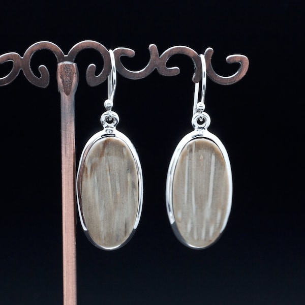 Sterling Silver Petrified Palm Wood Earrings