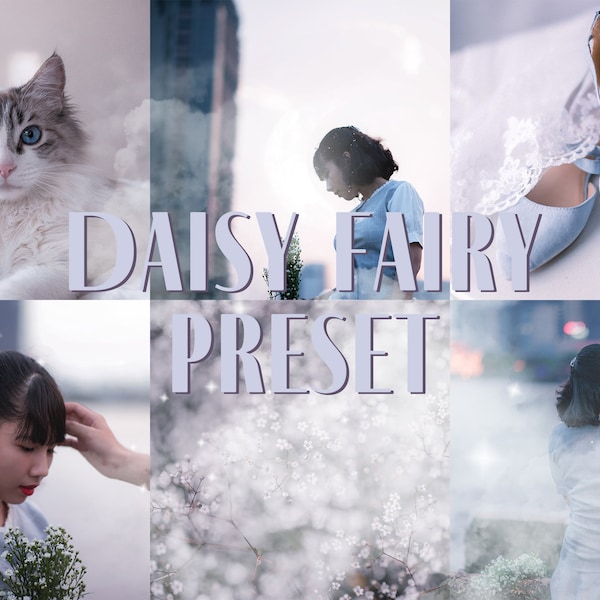 Daisy Fairy Preset | 1 Lightroom Preset for Mobile and Desktop