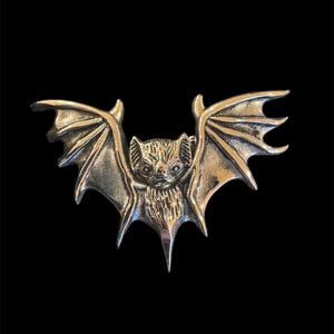 May include: A silver-coloured bat pendant with detailed wings and a textured body.