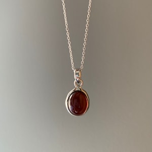 Garnet  necklace, Delicate necklace, Boho garnet necklace, Garnet circle necklace, Sterling silver garnet necklace, Christmas gift