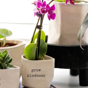May include: A white fabric pot with the text "grow kindness" printed on it. The pot is filled with a green plant with pink flowers. The pot is sitting on a black table.