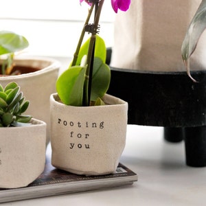May include: A white fabric pot with the text "rooting for you" printed on it. The pot is filled with a green plant and a pink orchid.