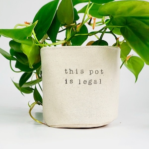 May include: A white fabric pot with the text "this pot is legal" printed on it. A green plant is growing out of the pot.