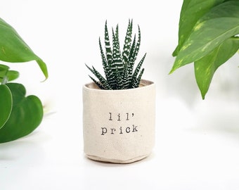 Lil' Prick 2" succulent planter | ADD PLANT