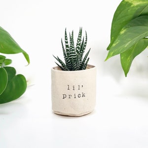 Lil' Prick 2" succulent planter | ADD PLANT