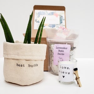 May include: A gift box set with a small potted plant, a bag of lavender bath salts, and a small candle with the text "love, steve" and a heart. The plant pot is made of fabric and has the text "best buds" printed on it.