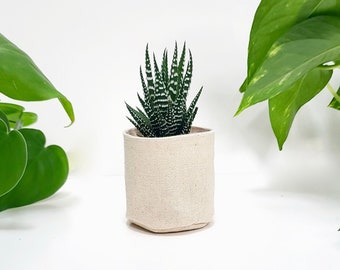 2" succulent canvas planter | PLANT INCLUDED