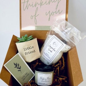 Little friend 2" plant gift box |PLANT INCLUDED | Thinking of you gift box