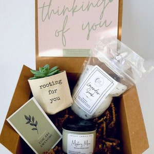 rooting for you 2" planter gift box | PLANT INCLUDED | Thinking of you gift box