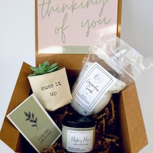 Succ it up 2" planter gift box | PLANT INCLUDED | Thinking of you gift box
