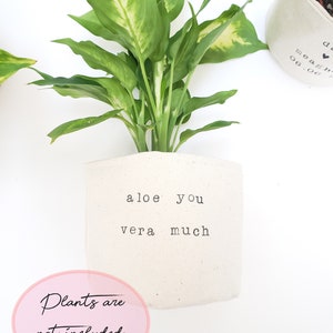 May include: A white fabric planter with the text "aloe you vera much" printed on it. The planter is empty and does not include a plant.