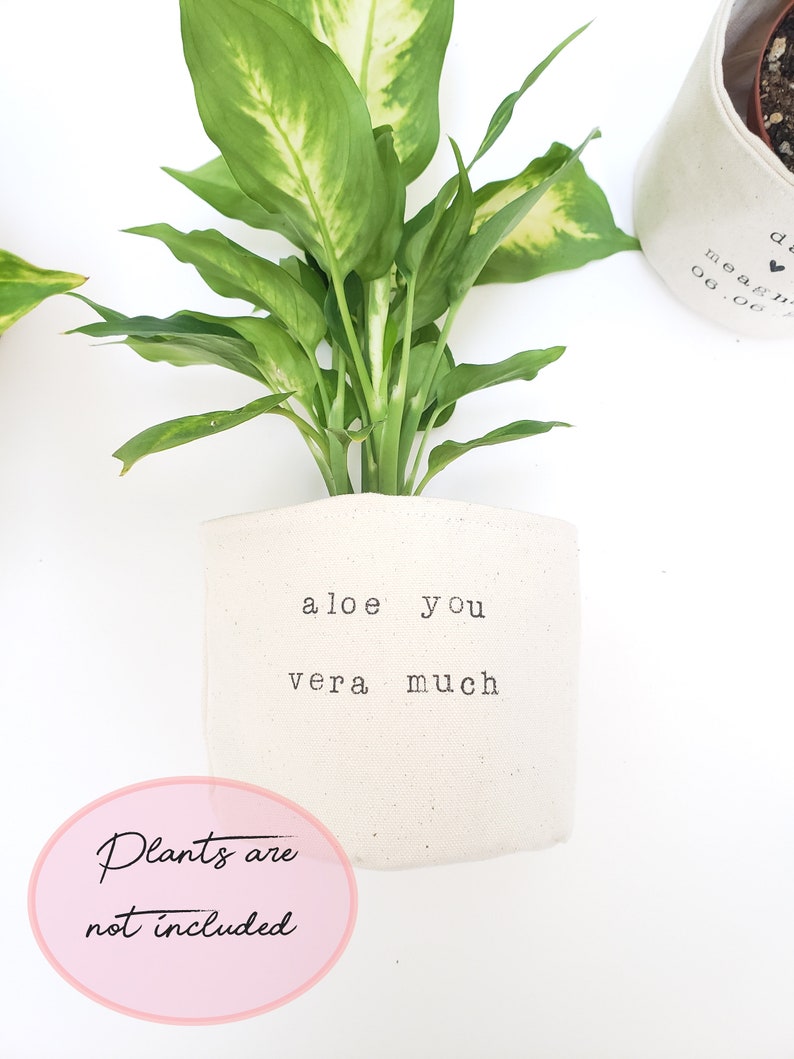 May include: A white fabric planter with the text "aloe you vera much" printed on it. The planter is empty and does not include a plant.