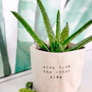 May include: A green aloe plant in a white fabric pot with the text "aloe from the other side" printed on the front.