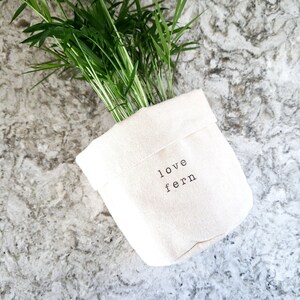 Peut inclure: Un pot en toile blanche avec le texte "love fern" imprimé dessus. Une plante de fougère verte pousse à l'intérieur du pot.