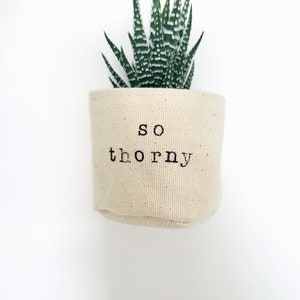 Peut inclure: Une petite plante succulente verte dans un pot en tissu blanc avec le texte "so thorny" imprim&eacute; sur le devant.