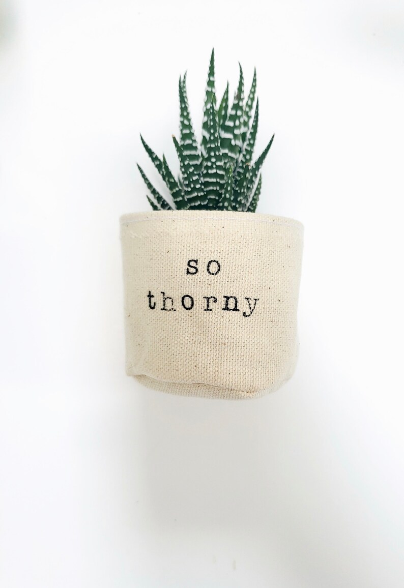 Peut inclure: Une petite plante succulente verte dans un pot en tissu blanc avec le texte "so thorny" imprim&eacute; sur le devant.