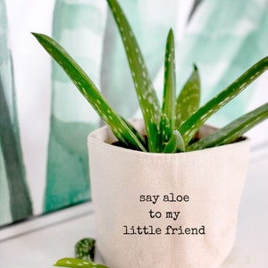 Puede incluir: Una maceta de tela blanca con el texto "say aloe to my little friend" impreso en ella. Una planta de aloe vera verde está creciendo en la maceta.