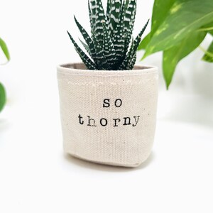 Peut inclure: Un petit pot en toile blanc avec le texte "so thorny" imprim&eacute; dessus. Une petite plante succulente verte pousse dans le pot.