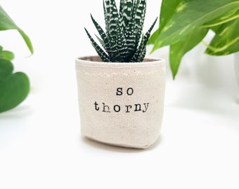 Mini cache-pot en toile | PLANTE INCLUS | Jardinière succulente de 2 po. | jardinière en tissu | So Thorny | cadeau pour un ami