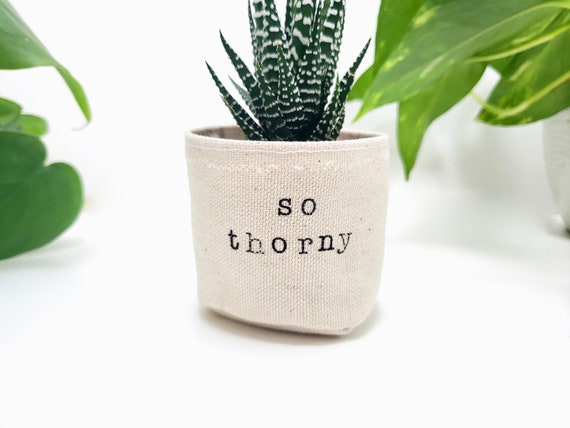 Mini 2" So Thorny canvas planter Valentine's Day Gift - PLANT NOT INCLUDED