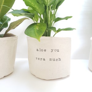 Aloe You Vera Much - Valentine's Day Gift