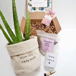 May include: A gift box filled with a potted aloe plant, a bag of lavender bath salts, a small candle with the text "love, Steve", and a small card with the text "You're pretty fantastic".